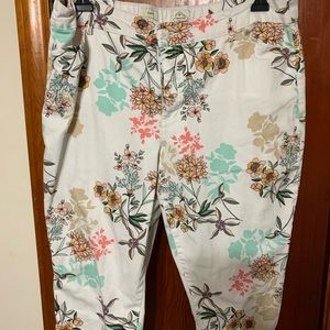 St. John’s Bay capris